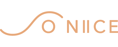 So Niice logo