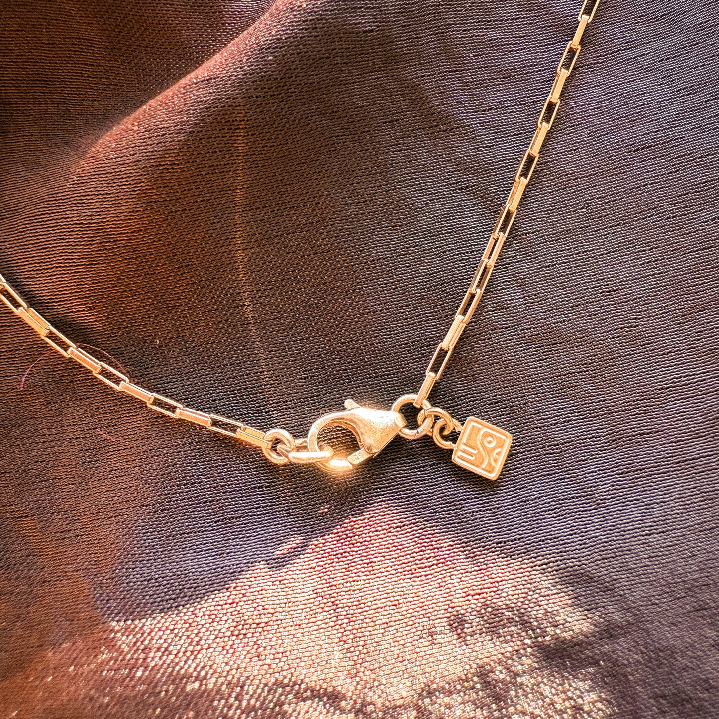gold-filled chain and clasp with a small So Niice logo charm