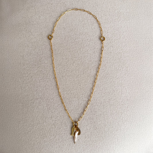 Evolutions Necklace